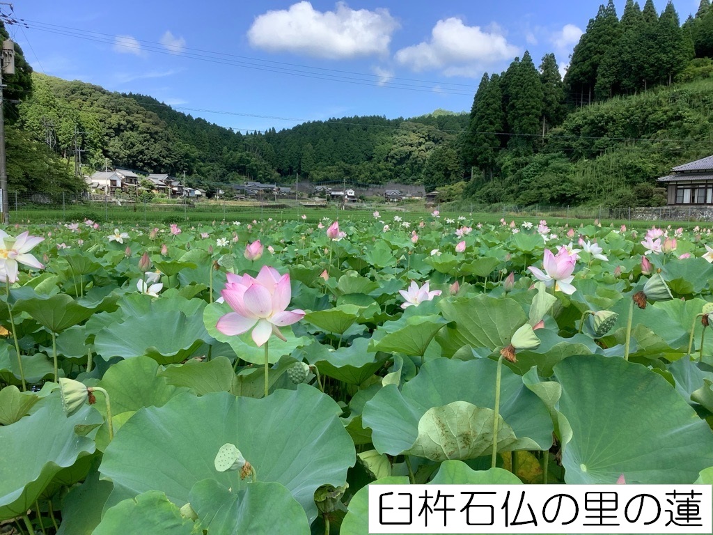 公式】宝くじチャンスセンター